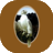 mikesfalconry logo