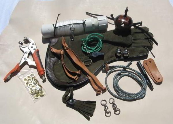 Deluxe Red tail or Harris Hawk Apprentice Kits