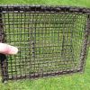Bal-Chatri Noose trap for Red tail & Harris hawk size birds