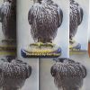 THE PASSAGE FALCON