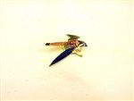 Enameled Raptor Pins, Kestrel