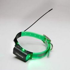 Marshall High Power dog tracking collar Lighted