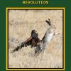 The Harris's Hawk Revolution