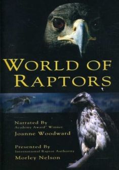 World Of Raptors