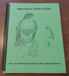 Apprentice Study Guide.