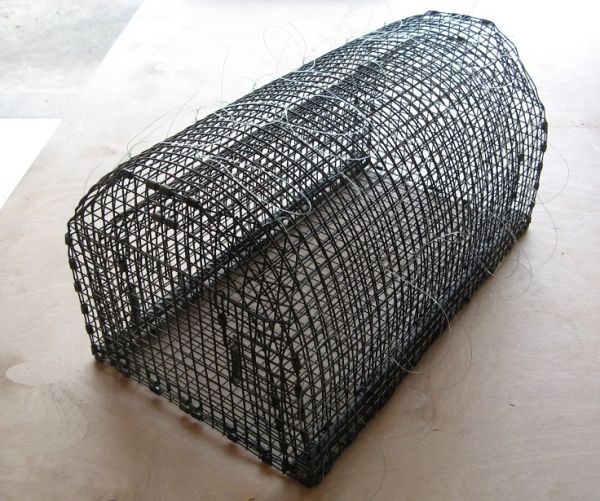 BAL - CHATRI EXTRA LARGE BC TRAP - Used for trapping very large hawks and Owls.
