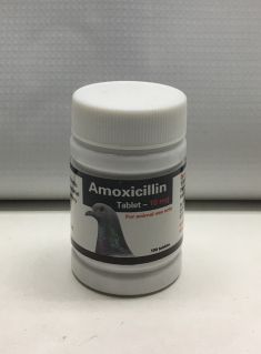 AMOXICILLIN 10