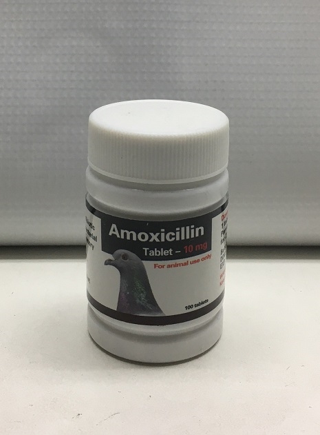 AMOXICILLIN 10