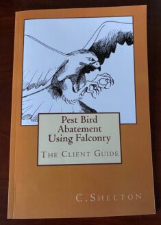 PEST BIRD ABATEMENT USING FALCONRY