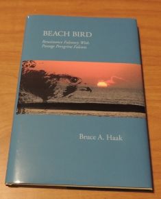 A new book, Beach Bird, By Bruce A. Haak