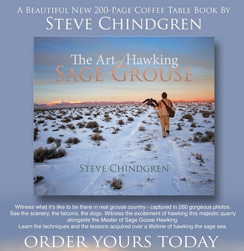 a - - The Art of Hawking Sage Grouse, by Steve Chindgren