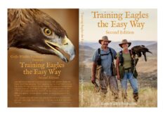 Training Eagles the easy way, by Joe Atkinson, new updated second Edition includes two DVD's