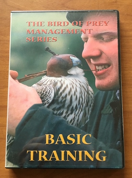 Basic Training video, DVD. A GREAT VIDEO FOR ALL NEW APPRENTICE FALCONERS. STEP BY STEP HELP.