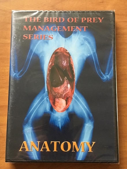Anatomy / The Bird of Prey Management Series