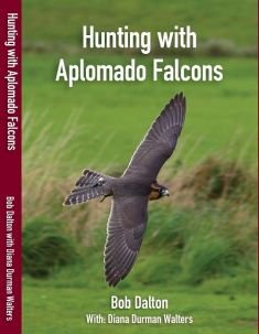 A- HUNTING WITH APLOMADO FALCONS - NEW REVISED EDITION 2019