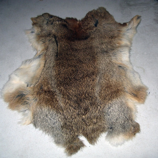 Rabbit Pelt