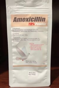 Amoxicillin Powder. - Mike's Falconry Supplies
