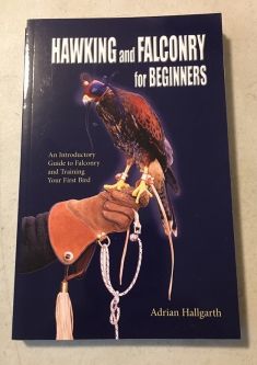 Hawking & Falconry For Beginners