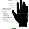 ANIMAL HANDLING GLOVES SYNTHETIC, THREE OPEN FINGER STYLE, GREAT FOR ALL VETERINNARIAN USE - Image 3