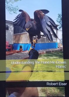 UNDERSTANDING THE HAND ME DOWN HARRIS’ by Robert Eiser