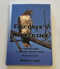The Falconer's Apprentice - A Guide to Training The Passage Red Tail hawk