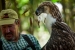 philippine-eagle-project-up-close