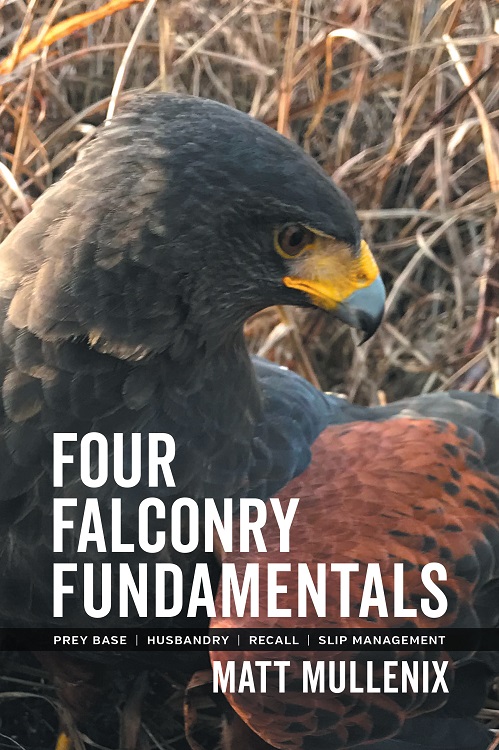 Picture of a falconry book.