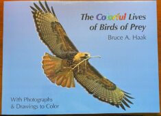 The Colorful Lives of Birds of Prey color book by Bruce A. Haak