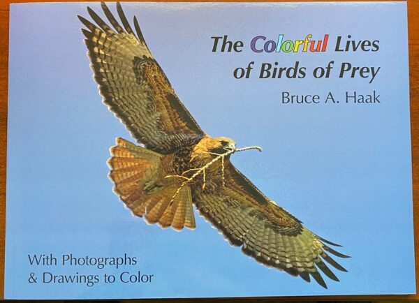 The Colorful Lives of Birds of Prey color book by Bruce A. Haak