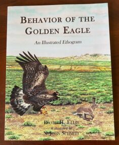 Behavior of the Golden Eagle. An illustrated Ethogram.