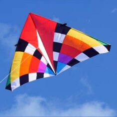 Levitation Delta nine foot kite