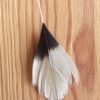 FALCON FIBER IMPING KITS COME IN THREE SIZES FROM KESTREL UP TO THE LARGEST RED TAIL HAWKS AND GYR FALCONS - Image 7