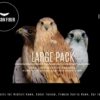 FALCON FIBER IMPING KITS COME IN THREE SIZES FROM KESTREL UP TO THE LARGEST RED TAIL HAWKS AND GYR FALCONS - Image 3