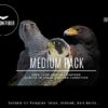 FALCON FIBER IMPING KITS COME IN THREE SIZES FROM KESTREL UP TO THE LARGEST RED TAIL HAWKS AND GYR FALCONS - Image 2