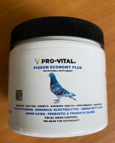 pigeon supply store