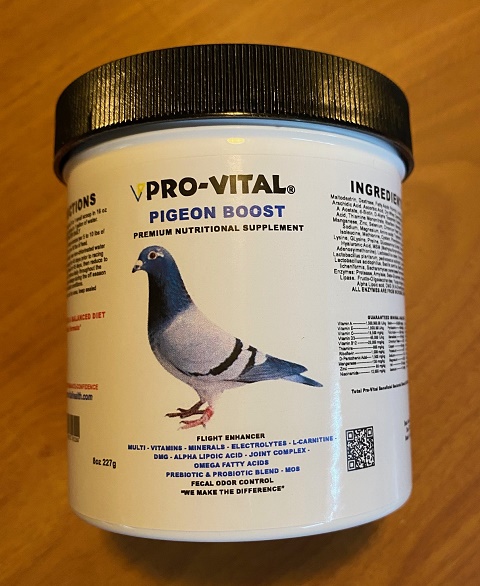 Palomacy Pigeon & Dove Adoptions