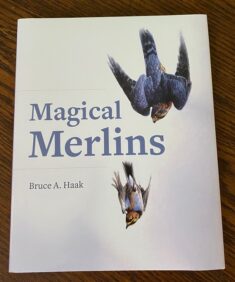 Magical Merlins, by Bruce A Haak. 1st Edition 2021. Hard bound book.  Limited copies are signed by Author.