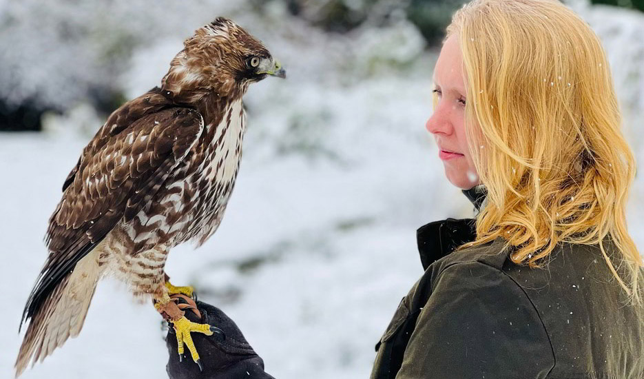 Small Raptor Digital Scale - Northwood Falconry