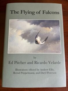 The Flying of Falcons - choose signed or un-signed copy
