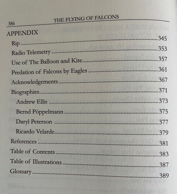 The Flying of Falcons - choose signed or un-signed copy - Image 3
