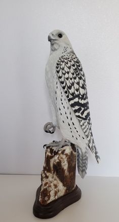 Gyr Falcon one of a kind Sculpture