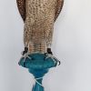 Shaheen Falcon one of a kind Sculpture