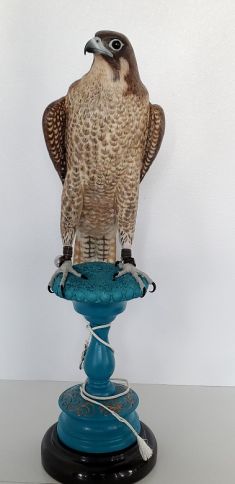 Shaheen Falcon one of a kind Sculpture