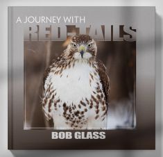 A Journey With Red tails by Bob Glass, a must have book for new Apprentices