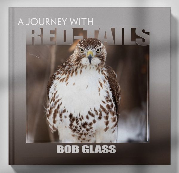 A Journey With Red tails by Bob Glass, a must have book for new Apprentices