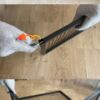 Pigeon Trap new updated model. Pigeon trap 4 sided trap doors - Image 2
