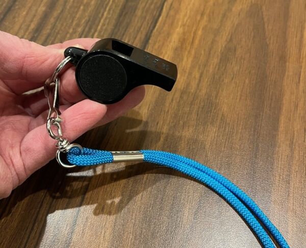 Acme thunder whistle with pee is the largest thunder size made - Image 2