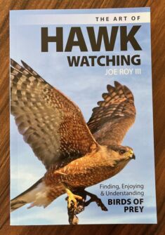 The Art of Hawk-Watching, By Joe Roy III