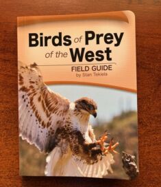 Birds of Prey of the West, Field Guide. By Stan Tekiela